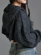 Load image into Gallery viewer, Twist Texture Hooded Woolen Slimming Jacket AlielNosirrah

